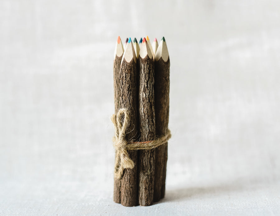 Coloring Twig Pencils