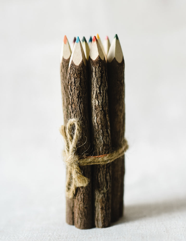 Coloring Twig Pencils