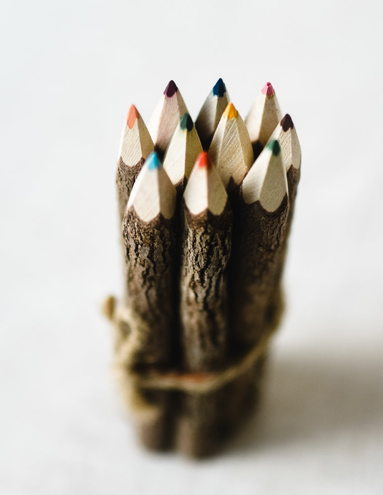 Coloring Twig Pencils