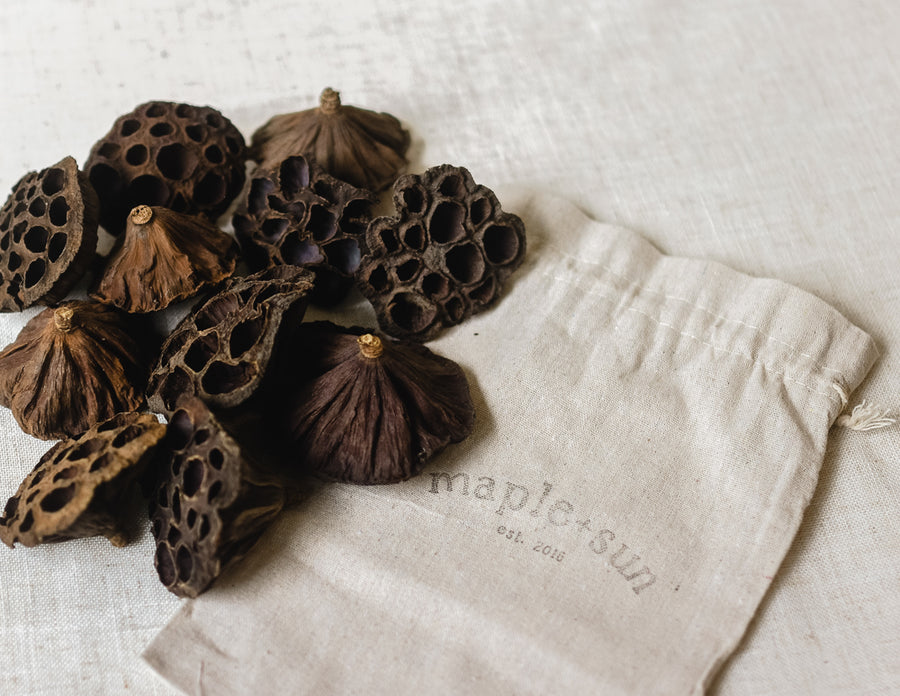 Dried Lotus Pods