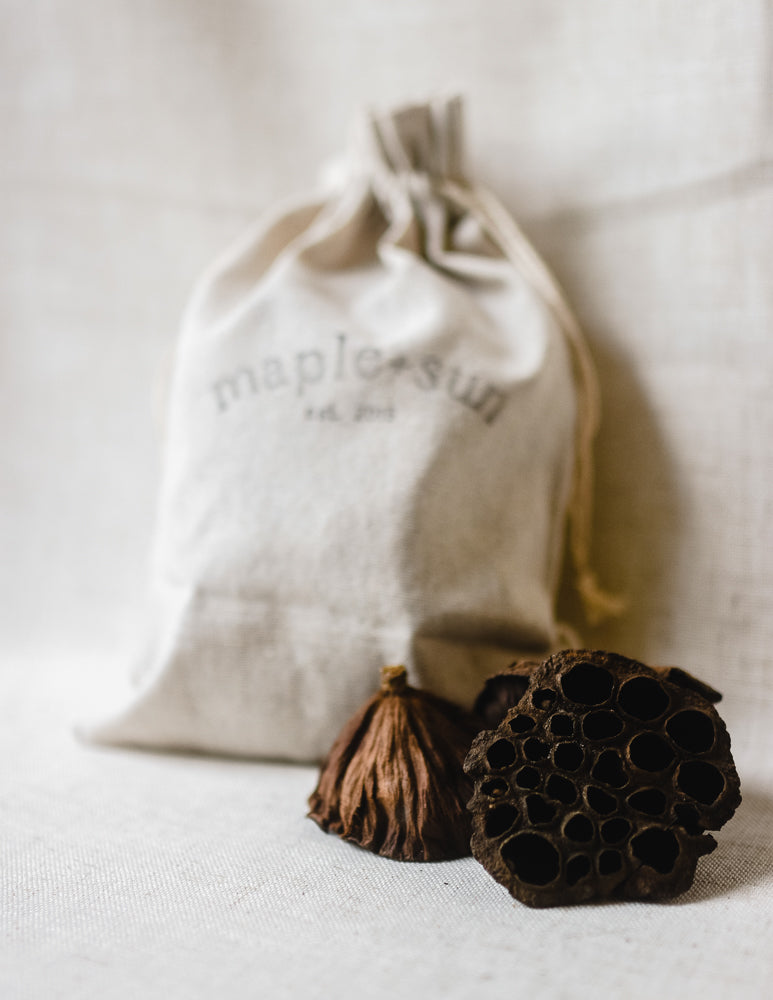 Dried Lotus Pods