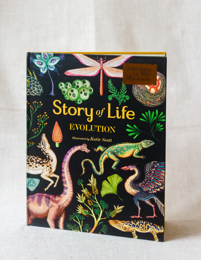 Story of Life: Evolution